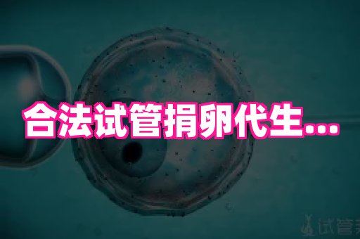 123试管孕网 4